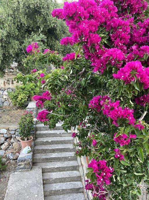 Villa Kamari-Cretan Style Apartment Kritsá Extérieur photo
